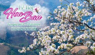 Nhiều hoạt động hấp dẫn tại Lễ hội Hoa Ban năm 2026