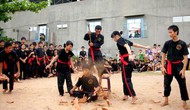 Liên hoan Quốc tế võ cổ truyền Việt Nam lần thứ III