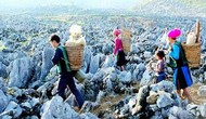 Nâng cấp Dự án Công viên Địa chất Cao nguyên đá Đồng Văn