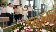 Thứ trưởng Lê Tiến Thọ dự triển lãm lấy ý kiến dân về quốc hoa tại Đà Nẵng