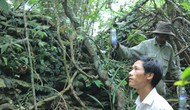 Hà Tĩnh: Phát hiện thành lũy bằng đá thời kỳ Đại Việt – Chăm Pa