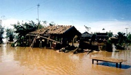 Thành lập Văn phòng thường trực phòng, chống lụt, bão và tìm kiếm cứu nạn Bộ VHTTDL