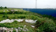 Khai quật khảo cổ tại di tích Vườn Chuối và Gò Dền Rắn thuộc thành phố Hà Nội