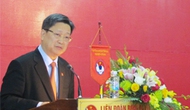 Đại hội thường niên Liên đoàn Bóng đá Việt Nam năm 2013