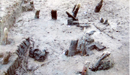 Khai quật khảo cổ tại tỉnh Quảng Ninh