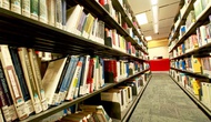 Quy định mã số và tiêu chuẩn chức danh nghề nghiệp viên chức chuyên ngành thư viện
