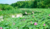 Láng Sen là khu Ramsa thứ 7 của Việt Nam