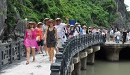 Chấn chỉnh hoạt động kinh doanh du lịch trái phép của người nước ngoài tại Việt Nam