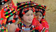 Kiện toàn Ban Soạn thảo và Tổ Biên tập Đề án “Tư liệu văn hóa các dân tộc thiểu số Việt Nam”