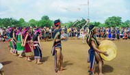Tổ chức “Ngày hội văn hóa, thể thao và du lịch các dân tộc vùng Tây Nguyên lần thứ I, năm 2017”