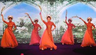 Đà Nẵng: Nhiều hoạt động chào đón năm mới 2017