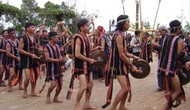 Gia Lai đăng cai tổ chức Ngày hội văn hóa, thể thao và du lịch các dân tộc vùng Tây Nguyên lần thứ I