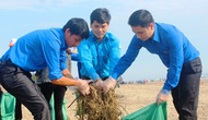 Hà Tĩnh: Tổ chức Lễ phát động và ra quân làm sạch môi trường biển năm 2017