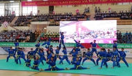 Đại hội Thể dục Thể thao tỉnh Đồng Tháp lần thứ VIII