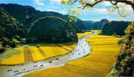 Ninh Bình: Xây dựng tour du lịch chụp ảnh “Mùa vàng Tam Cốc”