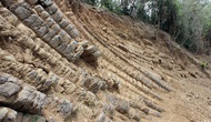 Phú Yên: Phát hiện nhiều vách đá mới tại danh thắng Gành Đá Đĩa