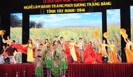 Tây Ninh: Tổ chức 