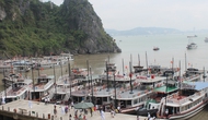 Quảng Ninh: Triển khai đánh giá chất lượng tàu du lịch