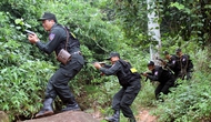 Kết quả công tác xá minh, truy bắt, vận động đầu thú đối tượng truy nã phạm tội về ma túy ở địa bàn Hòa Bình, Sơn La