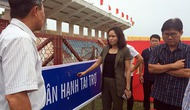 Thứ trưởng Bộ VHTTDL Trịnh Thị Thủy kiểm tra công tác tổ chức Lễ hội Chọi trâu Đồ Sơn 2017
