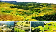 Kiện toàn Ban chỉ đạo phát triển du lịch tỉnh Hà Giang