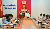 Quảng Ninh: Triển khai các giải pháp đảm bảo môi trường kinh doanh du lịch