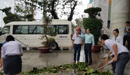 Tổng cục Du lịch thị sát thực địa tình hình các khách sạn tại Nha Trang, Khánh Hòa sau cơn bão số 12