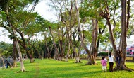 Đà Nẵng bàn giao Công viên 29 Tháng 3 cho cấp quận quản lý