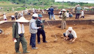 Hải Dương: Khai quật bãi cọc cổ ở xã Hoành Sơn