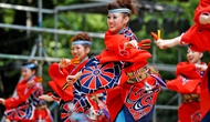 Tổ chức Lễ hội giao lưu văn hóa Nhật Bản kỷ niệm 45 năm thiết lập quan hệ ngoại giao Việt Nam - Nhật Bản 