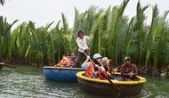 Hơn 40 nghìn lượt khách tham quan rừng dừa Cẩm Thanh, Quảng Nam