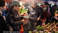 Hàng vạn người đội mưa về chợ Viềng Nam Định “mua may, bán rủi”