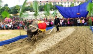 Lễ hội Lồng Tông, ngày hội xuống đồng ở Tuyên Quang