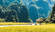 “Sắc vàng Tam Cốc” chào mừng kỷ niệm 1050 năm nhà nước Đại Cồ Việt