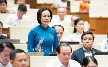 Đại biểu Quốc hội nêu 5 giải pháp, 4 kiến nghị phát triển phát triển công nghiệp văn hóa Việt Nam