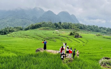 Du lịch Thanh Hoá tháng 11/2025 tăng trưởng tích cực, tổng thu đạt 825 tỷ đồng