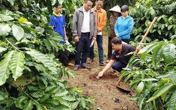 Hợp tác thúc đẩy tăng trưởng bền vững và hiện thực hóa mục tiêu Net Zero tại Việt Nam