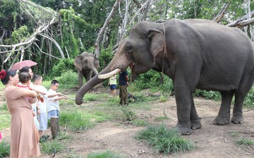 Kết nối du lịch biển đảo với văn hóa đại ngàn Tây Nguyên