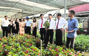 Hà Nội giới thiệu loạt sản phẩm du lịch mới gắn di sản, làng nghề với OCOP