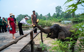 Tổ chức chuỗi các hoạt động, sự kiện với chủ đề "Đắk Lắk- Về miền di sản" nhằm kích cầu, hút khách du lịch 