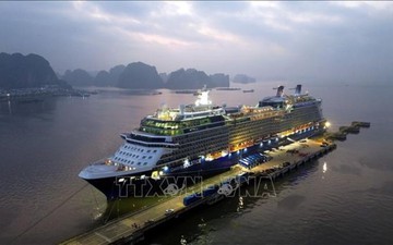 Quảng Ninh sẽ đón hàng ngàn khách du lịch tàu biển quốc tế dịp Tết Bính Ngọ