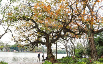 Điểm báo hoạt động ngành Văn hóa, Thể thao và Du lịch ngày 05/03/2026