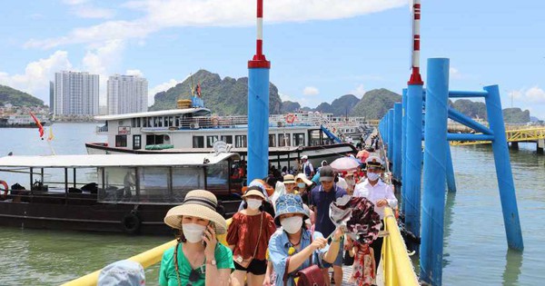 Quảng Ninh: Vai trò quan trọng của du lịch trong chiến lược phát triển kinh tế