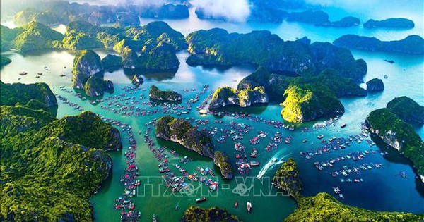 Ô Nhiễm Môi Trường Tại Khu Phố Phú Mỹ 1, TP.HCM: Người Dân Kêu Cứu