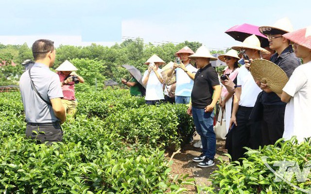 Thái Nguyên: Du lịch bền vững - hướng đi tất yếu thời hội nhập