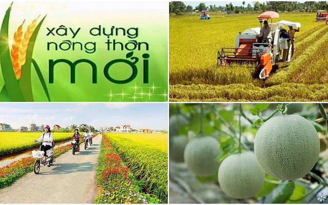Tập huấn triển khai thực hiện các mục tiêu về văn hóa trong Chương trình mục tiêu quốc gia xây dựng nông thôn mới năm 2025