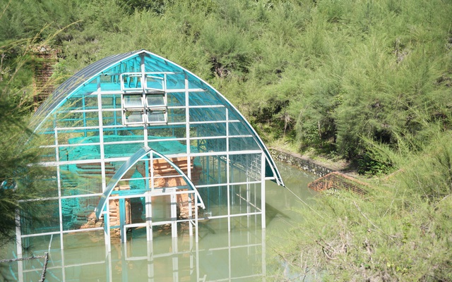 Khắc phục ngập nước tại di tích quốc gia Tháp Chăm Phú Diên