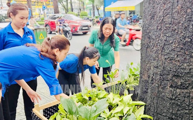 TP Hồ Chí Minh: Công tác quản lý về xây dựng, thực hiện quy ước đạt nhiều kết quả tích cực