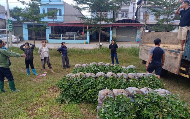 Thái Nguyên: Xã Phú Đình nỗ lực giảm nghèo bền vững sau sáp nhập