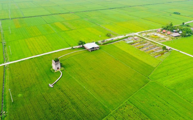 Đà Nẵng: Trợ lực cho du lịch nông thôn